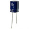 ELXY100ELL332ML20S